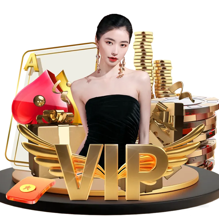 Visa Visa Payment